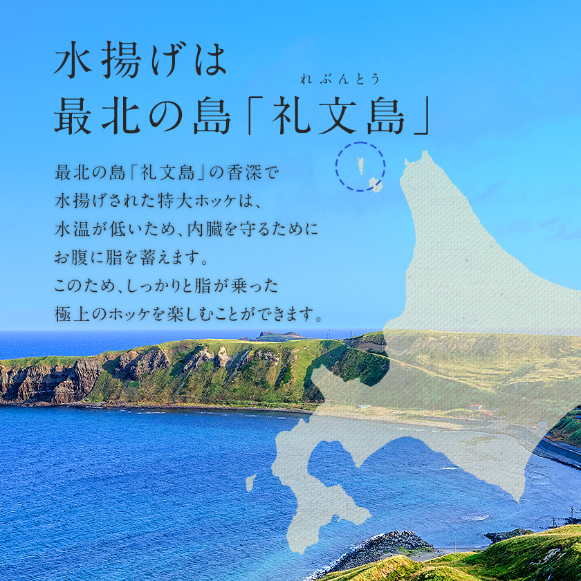 北海道礼文島産 旨味凝縮 特大ホッケの開き 1枚約550g前後 2枚セット
