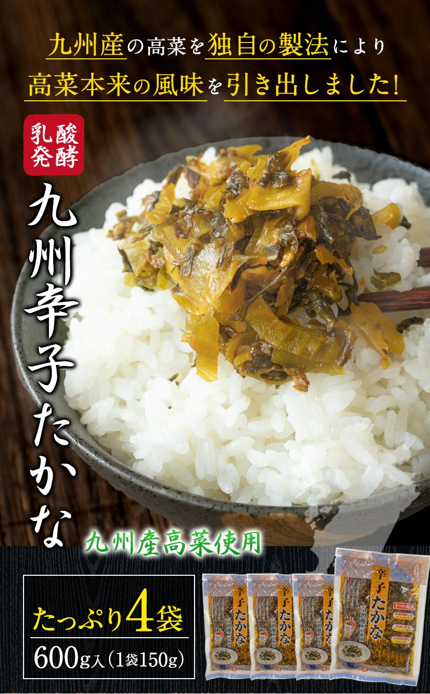 辛子高菜 九州産使用 独自製法と特製だし醤油でご飯がススム高菜漬に ご当地風土