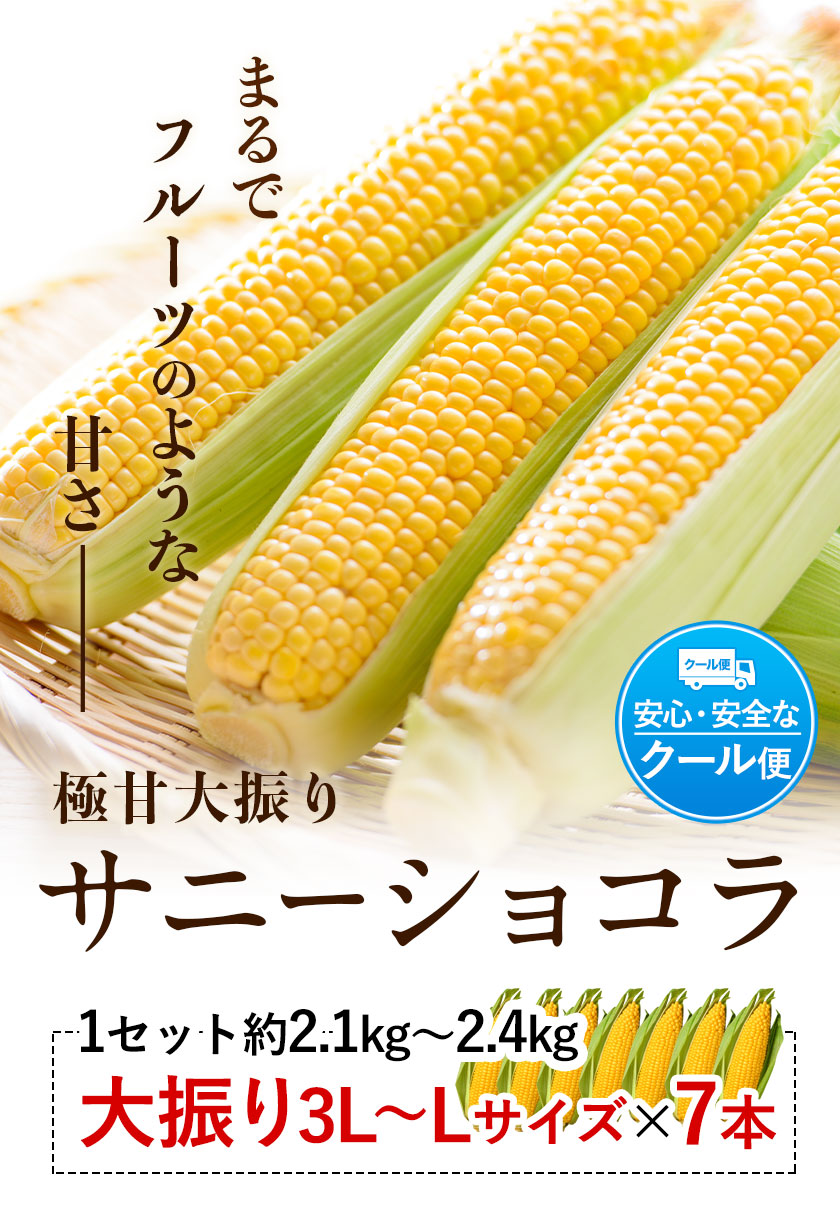 沖縄県産トウモロコシ スイートコーン サニーショコラ - 野菜