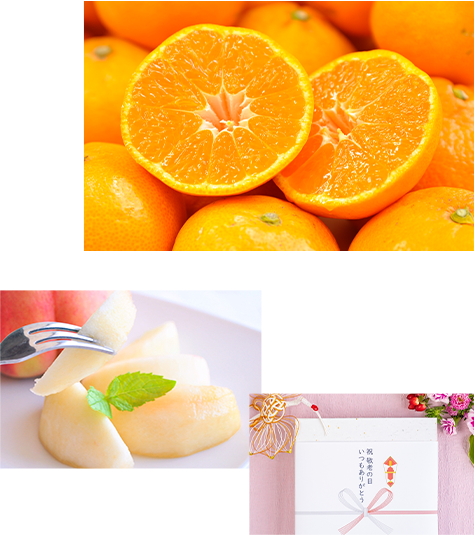 みかん 柑橘類