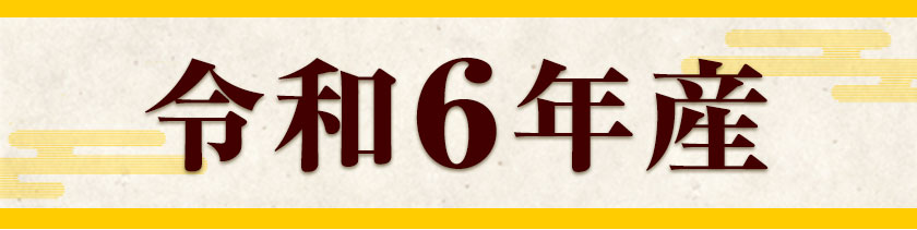 速攻出荷】 令和6年産 10kg 森のくまさん 5kg×2袋 熊本県産 くま