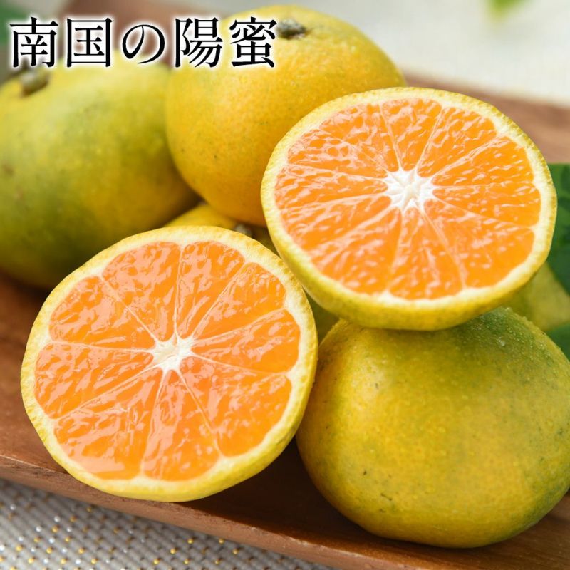 南国の陽蜜 5kg | ご当地風土